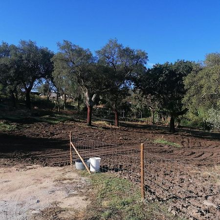 Casas De Marvao - Quinta Da Bela Vista Villa Dış mekan fotoğraf